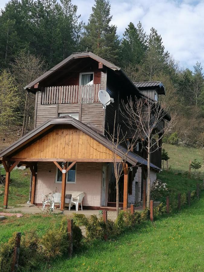 Villa Vikendica moonlight Zaovine Esterno foto