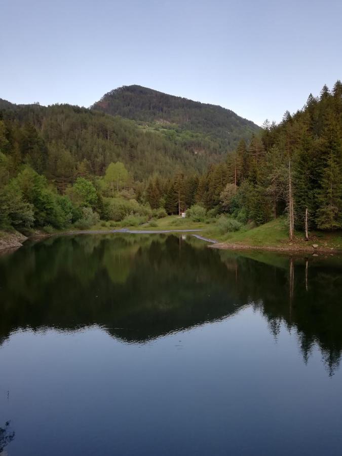 Villa Vikendica moonlight Zaovine Esterno foto