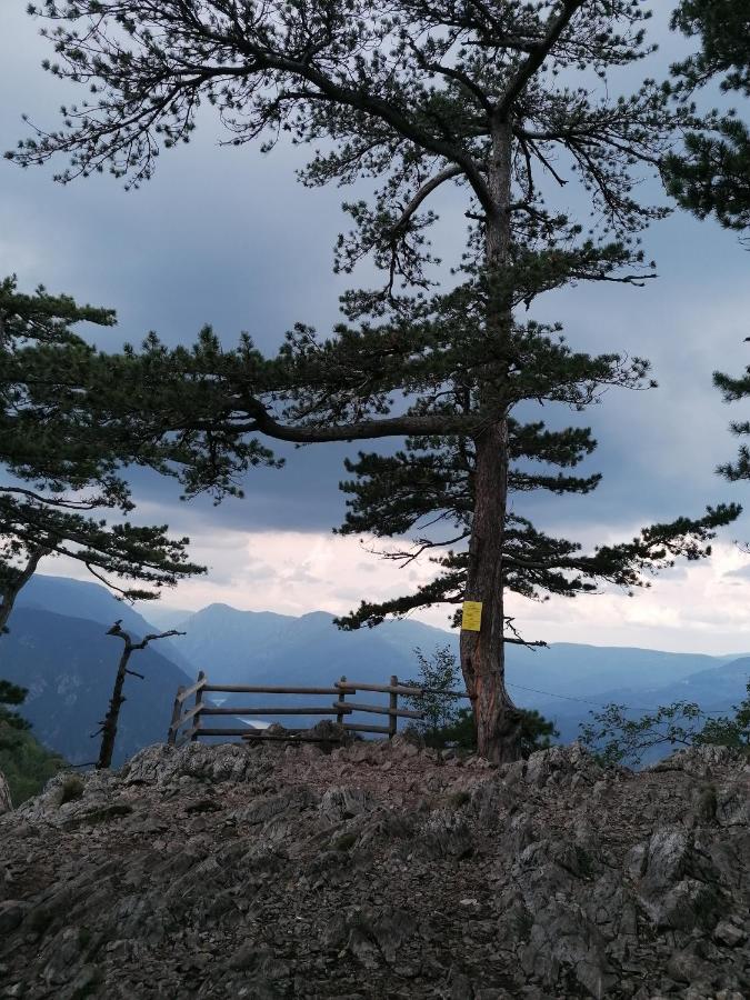 Villa Vikendica moonlight Zaovine Esterno foto