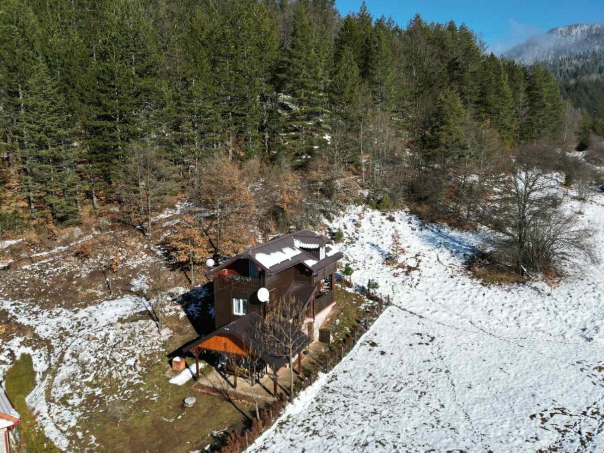 Villa Vikendica moonlight Zaovine Esterno foto