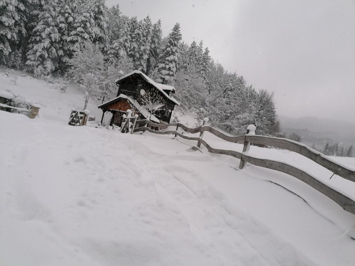 Villa Vikendica moonlight Zaovine Esterno foto