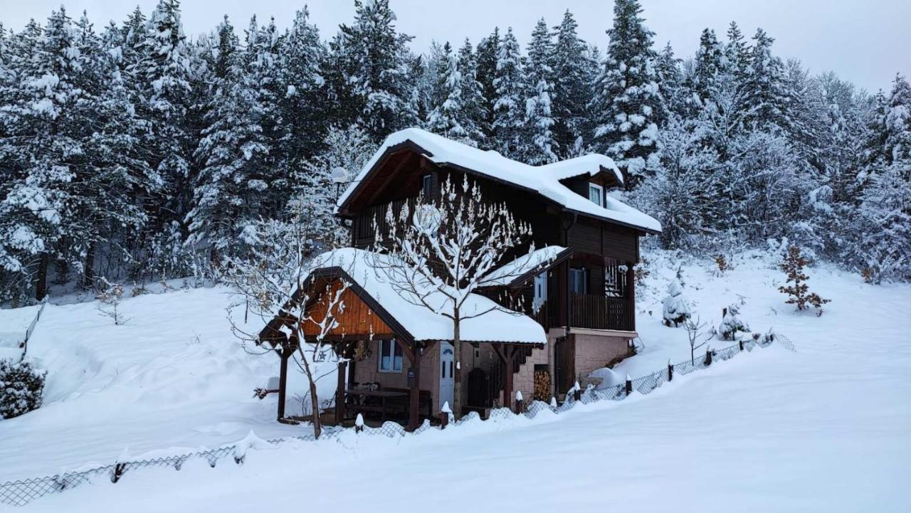 Villa Vikendica moonlight Zaovine Esterno foto